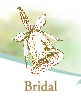 Bridal